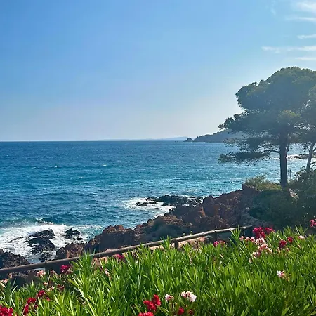 Santa Margarita Saint-Raphaël