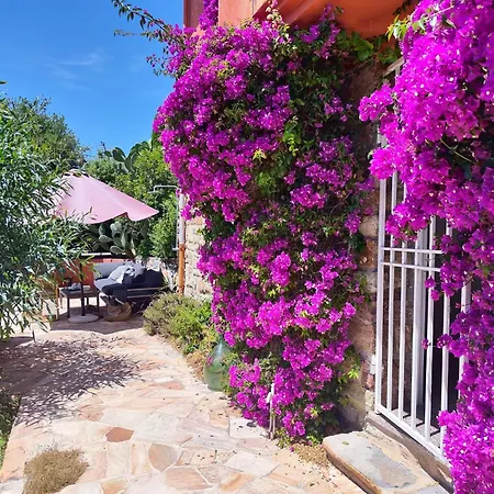 Santa Margarita Saint-Raphaël