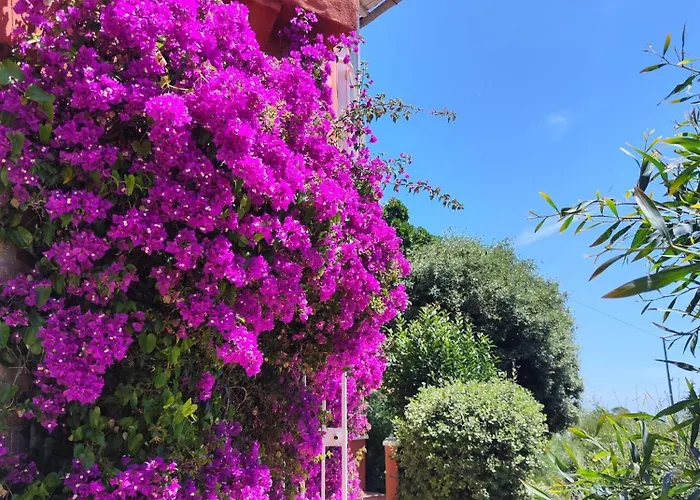 Santa Margarita Bed and breakfast Saint-Raphaël